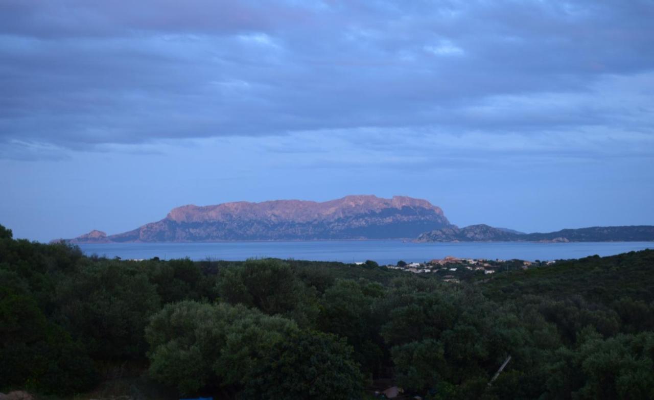 Sa Domitta Di Suiles Lejlighed Olbia Eksteriør billede